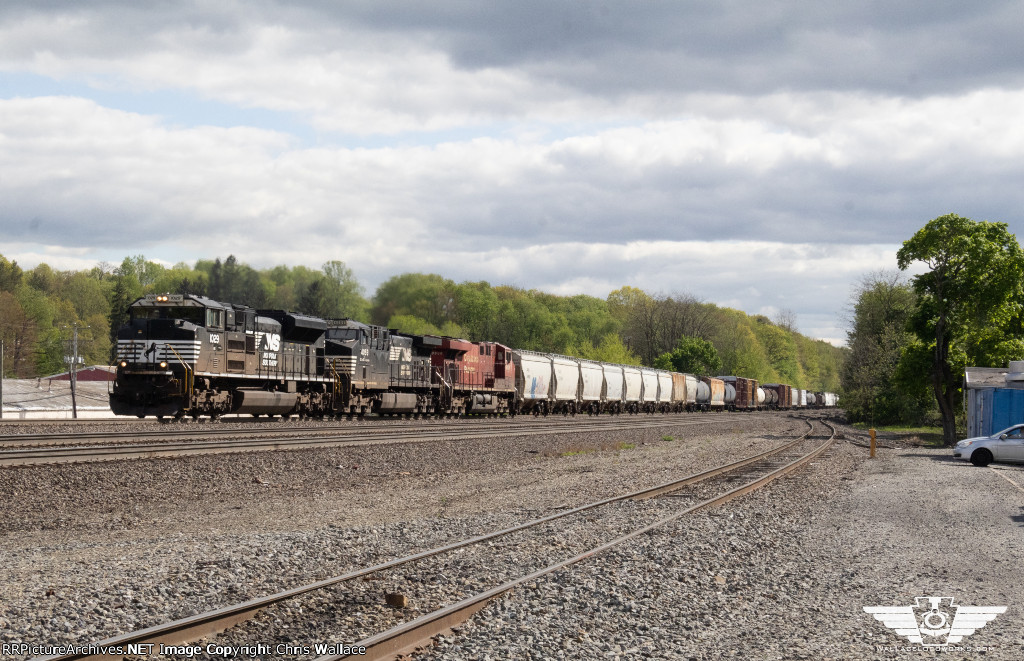 NS 1029